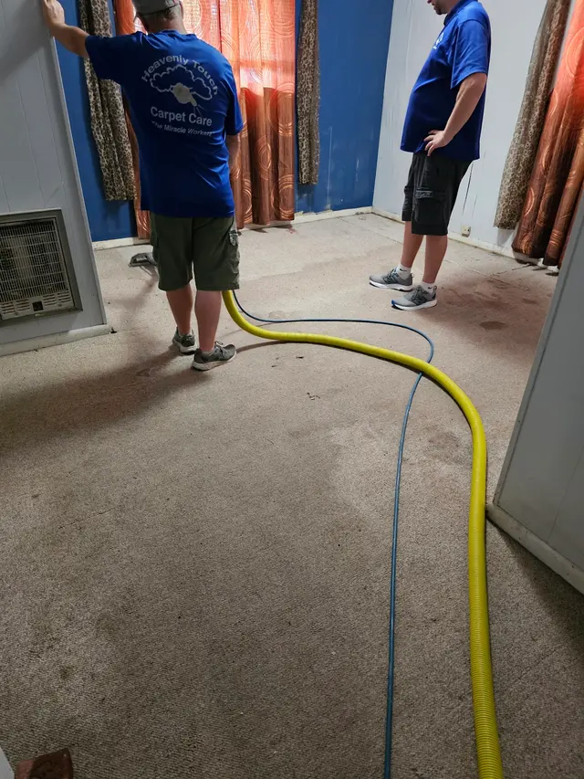 Heavenly Touch Carpet Care — customer photo 3