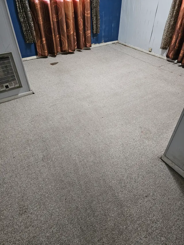 Heavenly Touch Carpet Care — customer photo 10