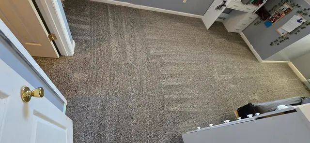 Heavenly Touch Carpet Care — customer photo 12