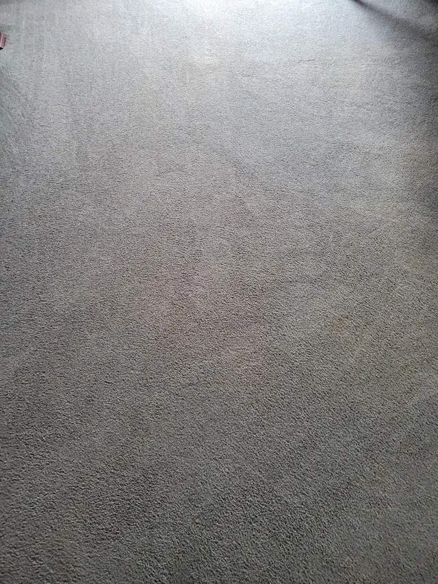 Heavenly Touch Carpet Care — customer photo 7