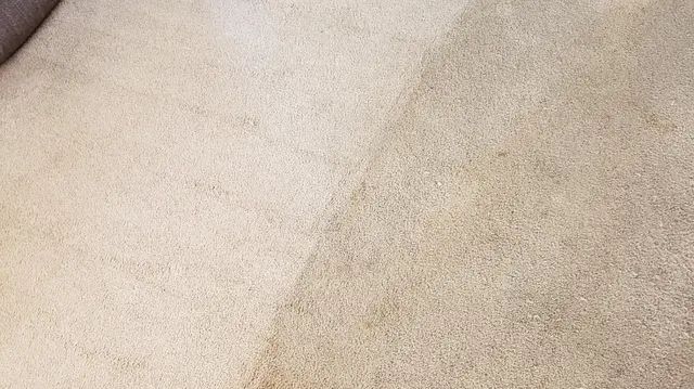 Heavenly Touch Carpet Care — photo from the business 1