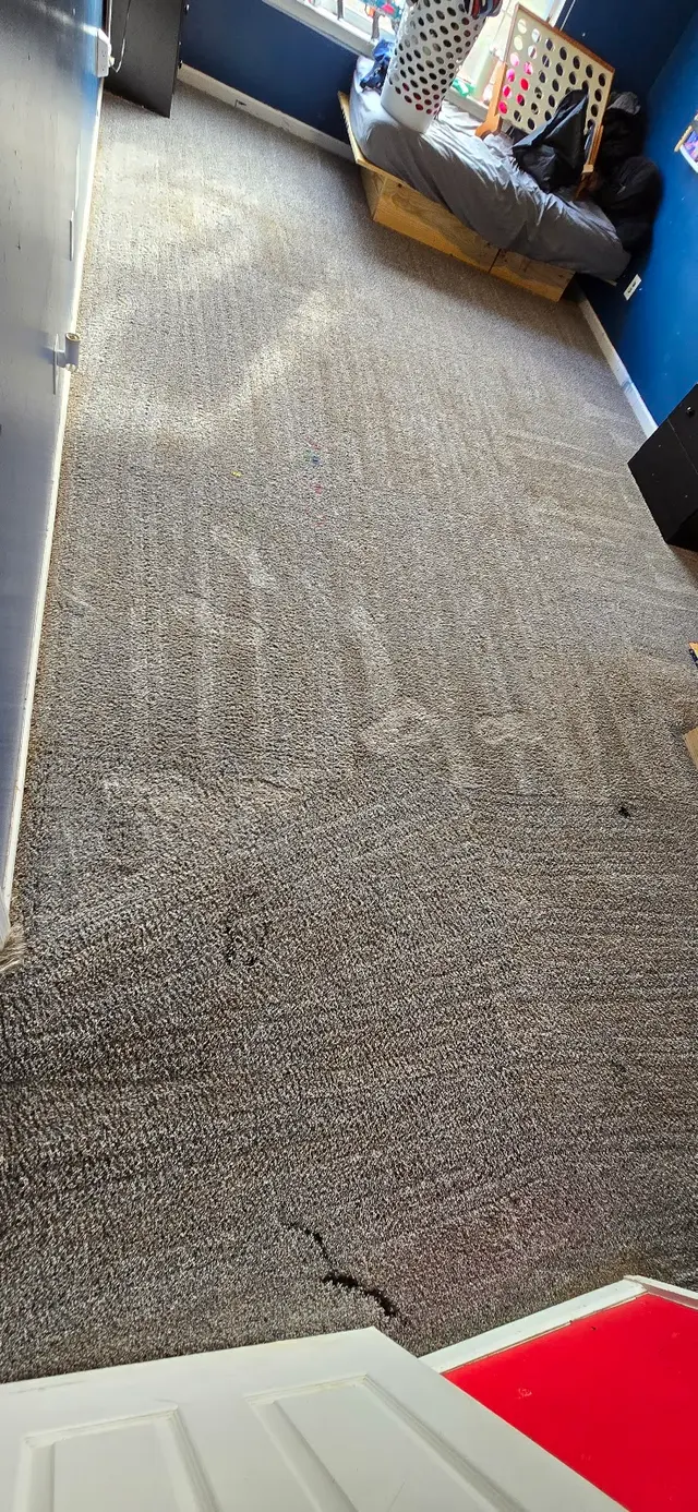 Heavenly Touch Carpet Care — customer photo 6