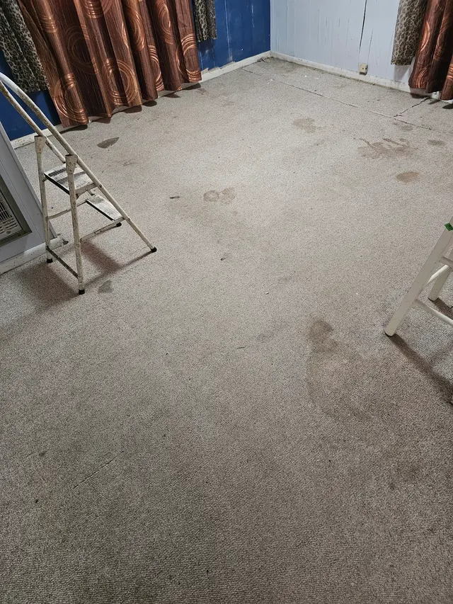 Heavenly Touch Carpet Care — customer photo 8
