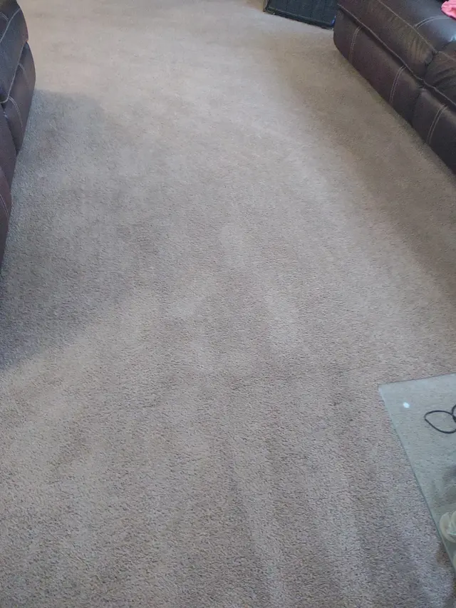 Heavenly Touch Carpet Care — customer photo 11