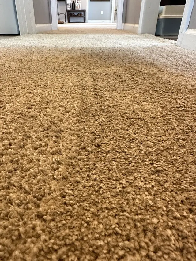 Xtrax Dry Carpet Cleaning — photo from the business 6