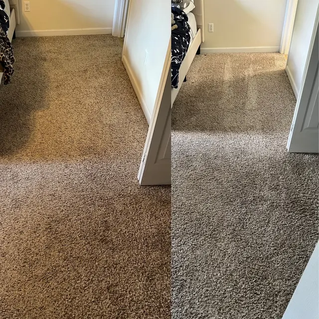 Xtrax Dry Carpet Cleaning — customer photo 1