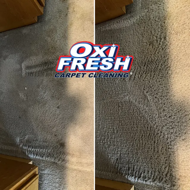 Oxi Fresh Carpet Cleaning — photo from the business 11