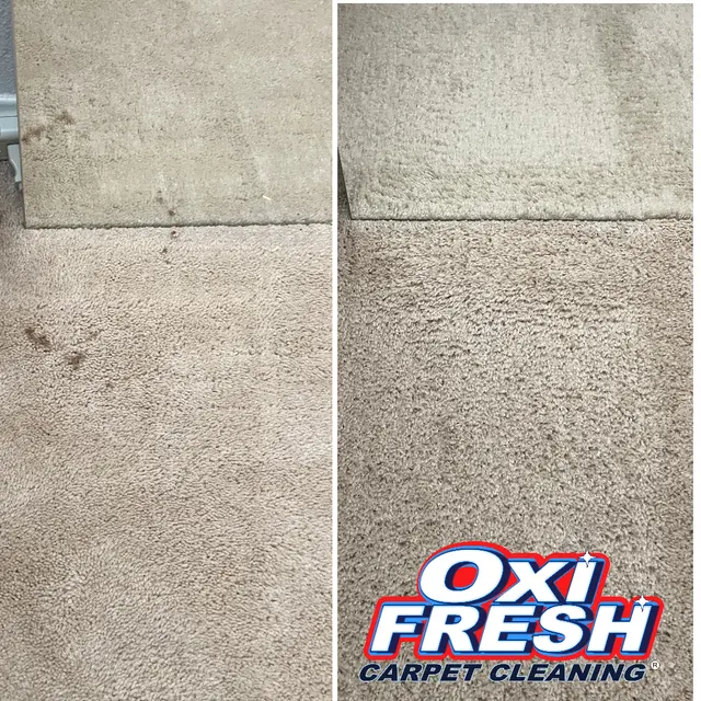 Oxi Fresh Carpet Cleaning — photo from the business 12