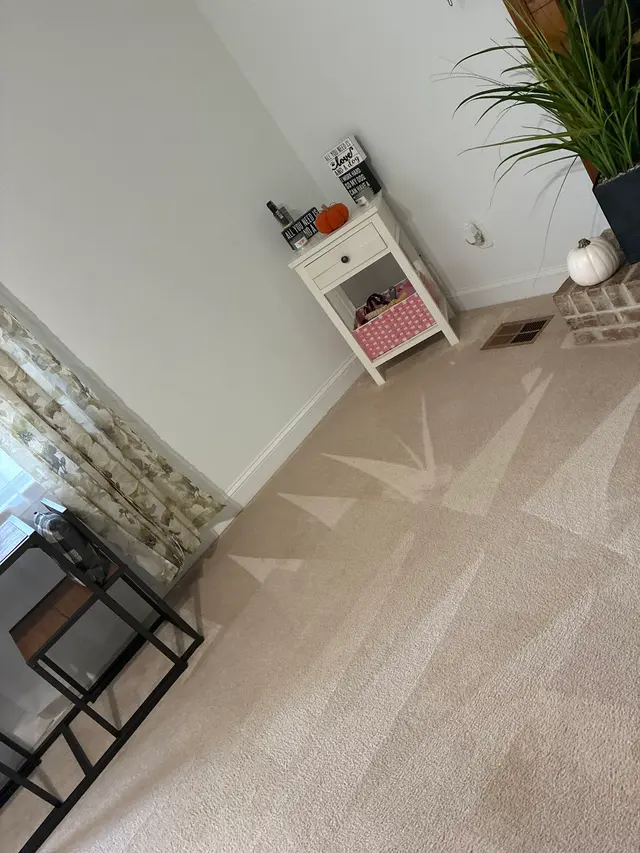 Oxi Fresh Carpet Cleaning — customer photo 2