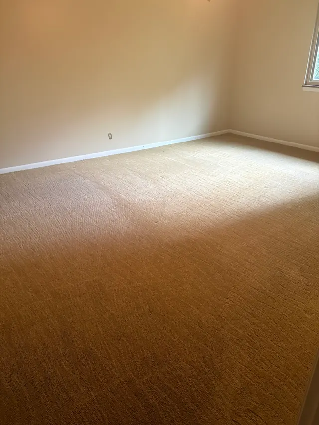 Enviroclean Carpet Care — customer photo 12