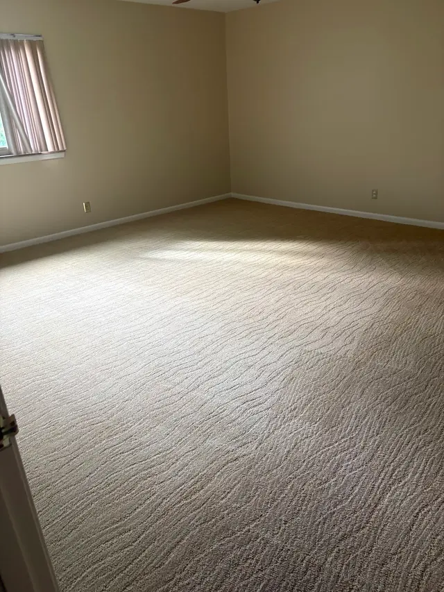 Enviroclean Carpet Care — customer photo 3