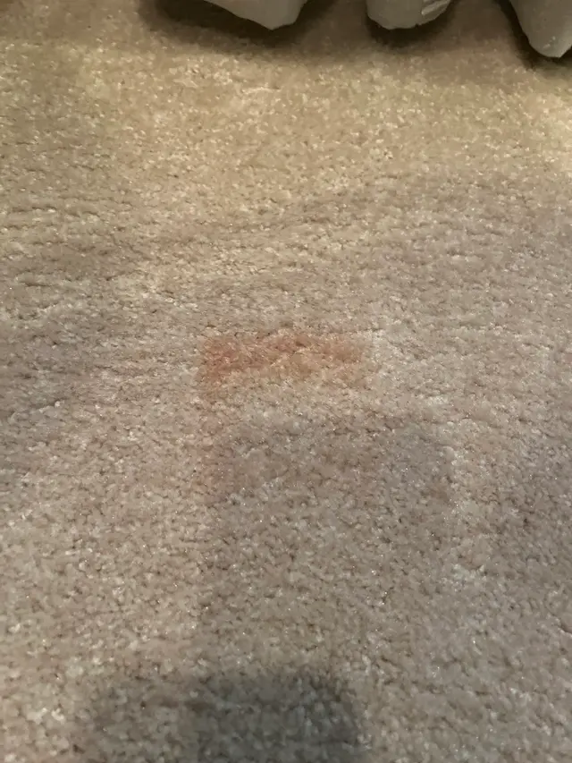 Enviroclean Carpet Care — customer photo 9