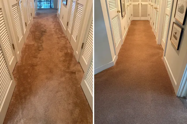 LocalPro Carpet Cleaning Of Chattanooga — photo from the business 2