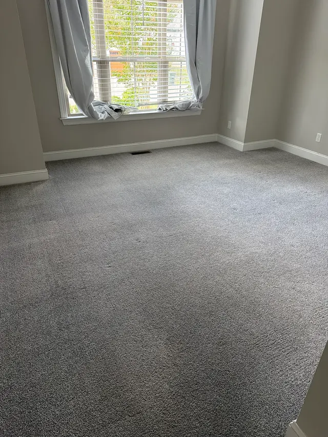 Customer photo of work by LocalPro Carpet Cleaning Of Chattanooga, from Beth Collom's review