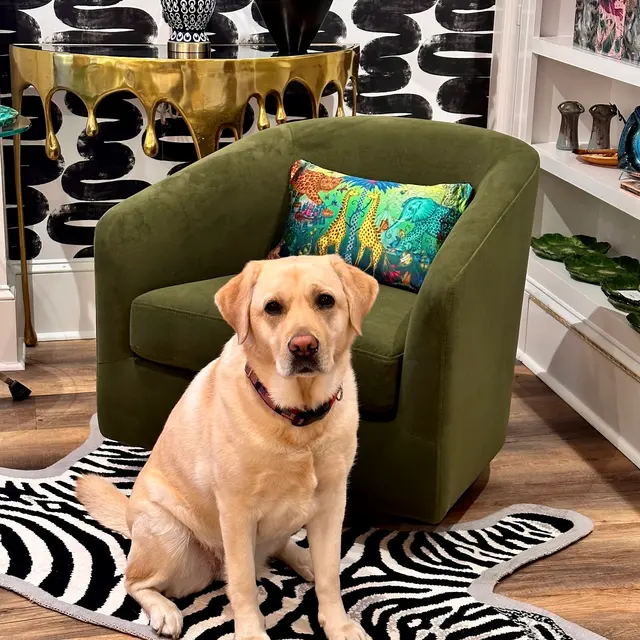 Jones & Bull — customer photo 5