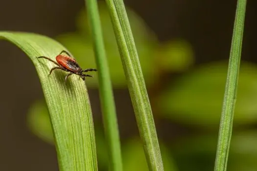 TruNorth Pest Control — photo from the business 12