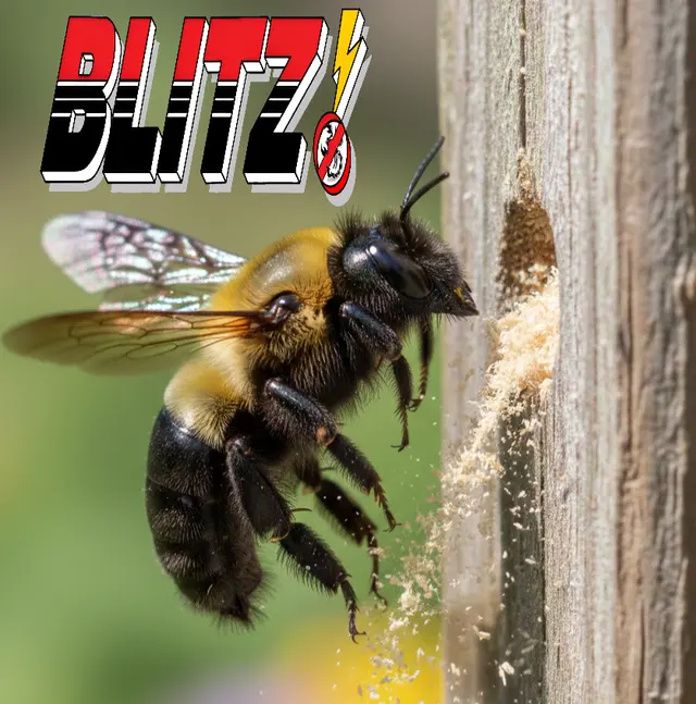 Blitz Exterminators, LLC — photo from the business 12