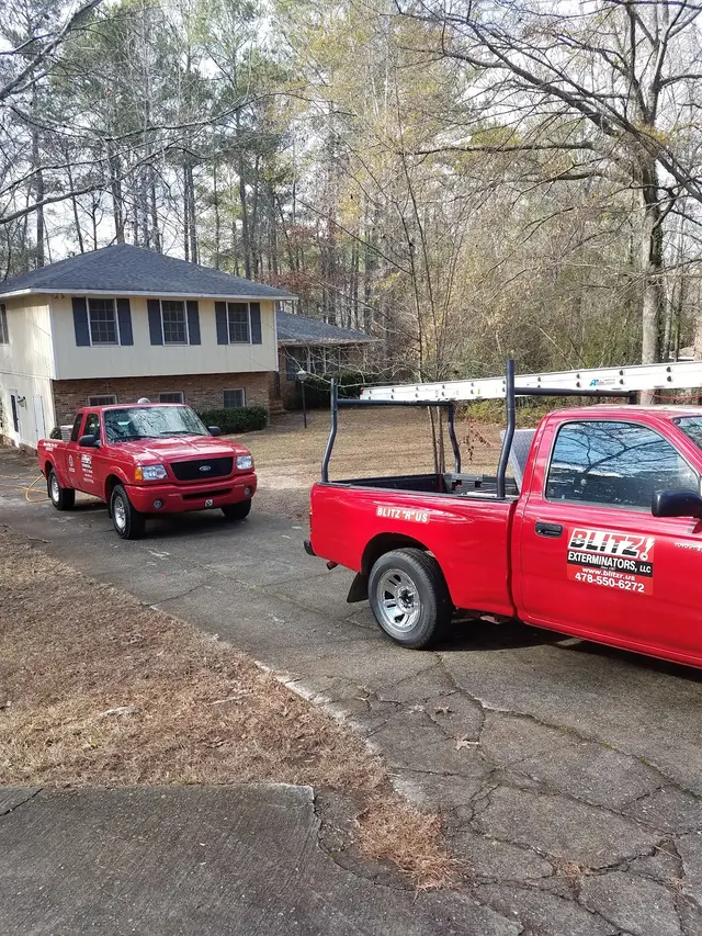 Blitz Exterminators, LLC — customer photo 3