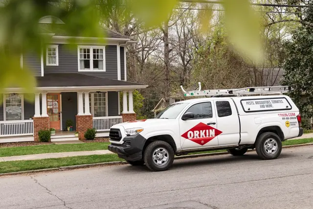 Orkin — photo from the business 4