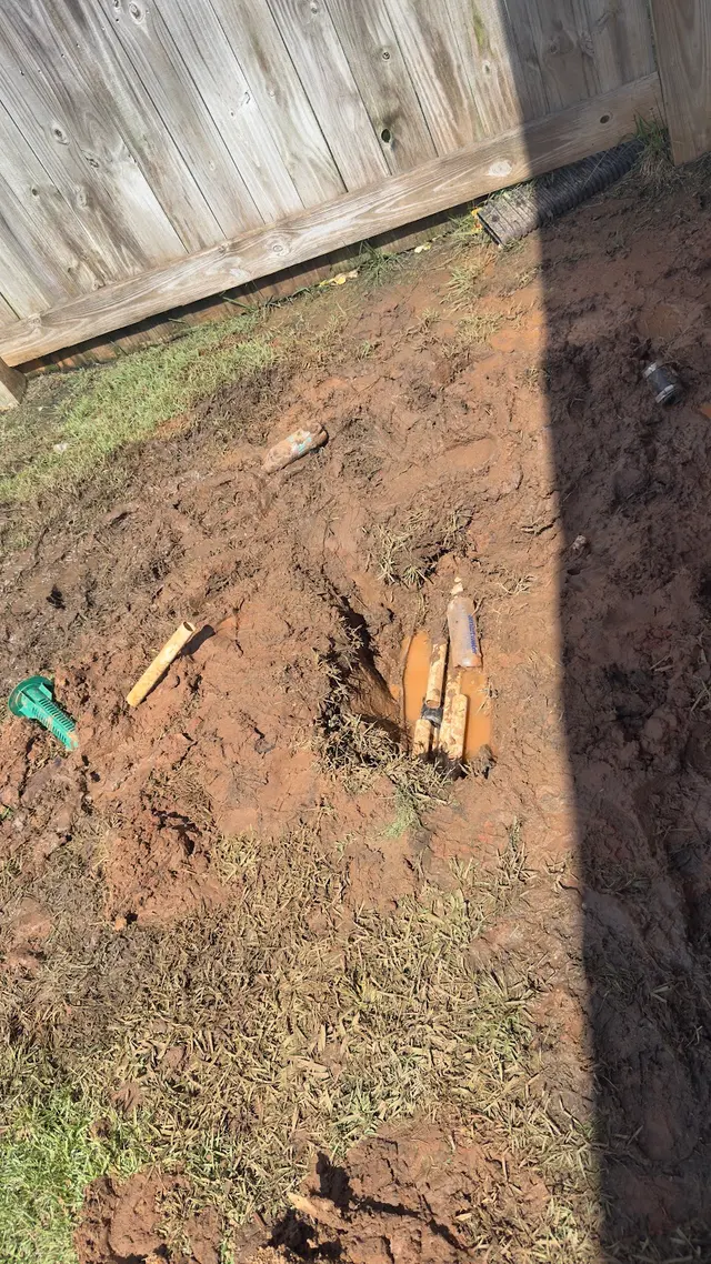 National Exterminating — customer photo 7