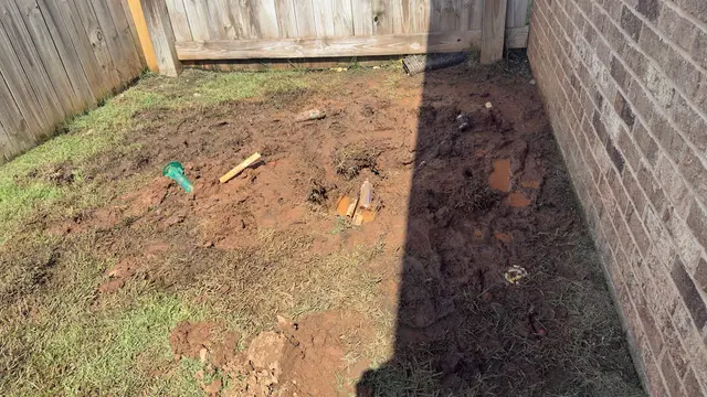Customer photo of work by National Exterminating, from A P's review