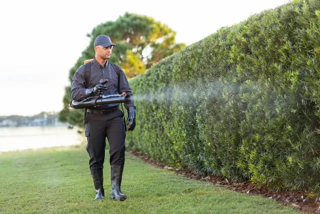Active Pest Control — photo from the business 2