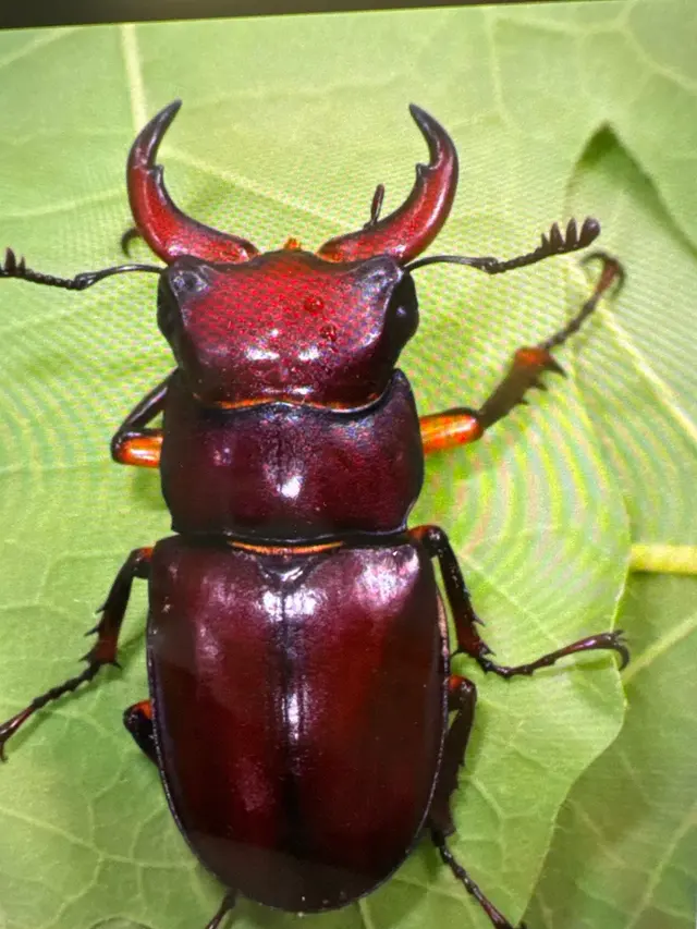 Active Pest Control — customer photo 10