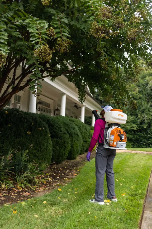 Mosquito & Pest Authority of Macon — photo from the business 11