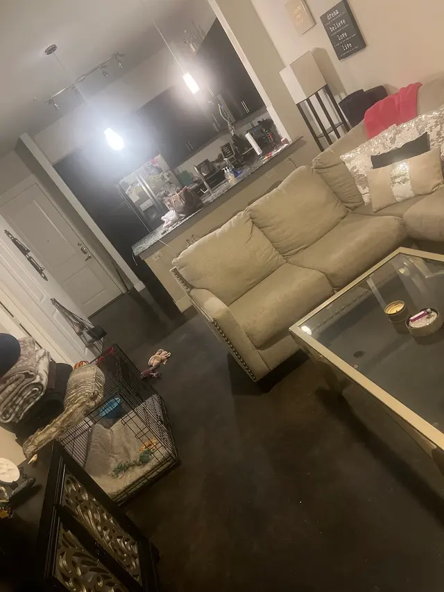 Customer photo from Hayley's review