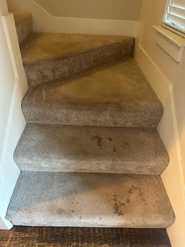 Customer photo from Marina's review