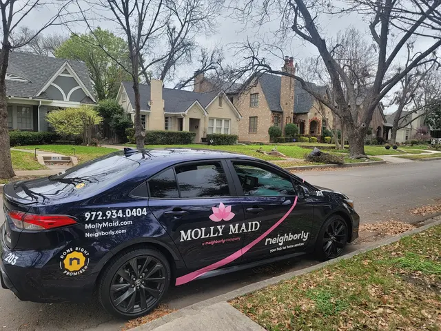 MOLLY MAID of Northwest Dallas County — photo from the business 3