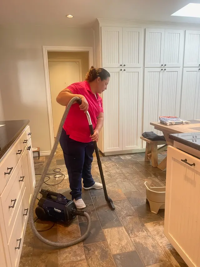 MOLLY MAID of Northwest Dallas County — photo from the business 7