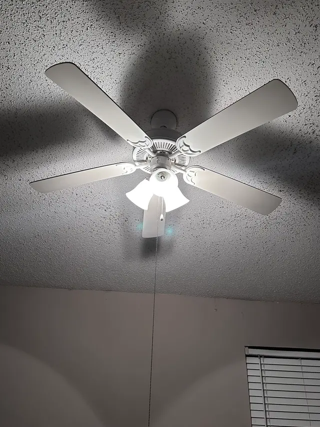 Customer photo from Sam's review