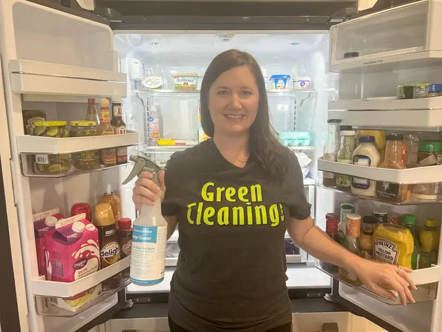 Green Cleaning DFW — photo from the business 4