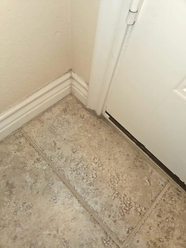 Customer photo from J.'s review
