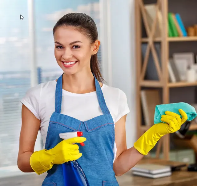 Patriot Maids Cleaning Services — photo from the business 1