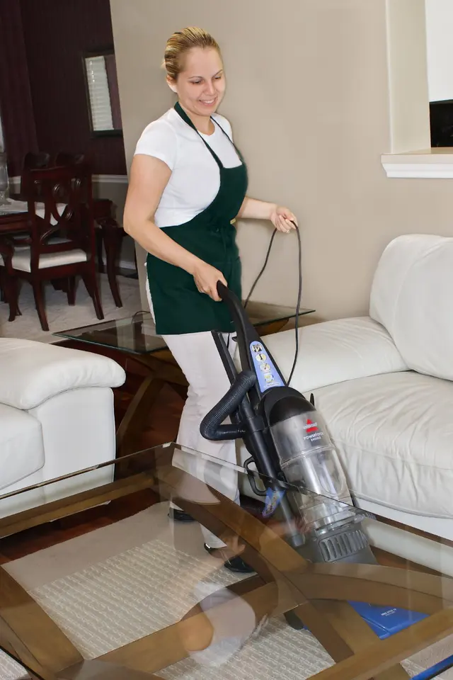 Dallas Maids — photo from the business 7