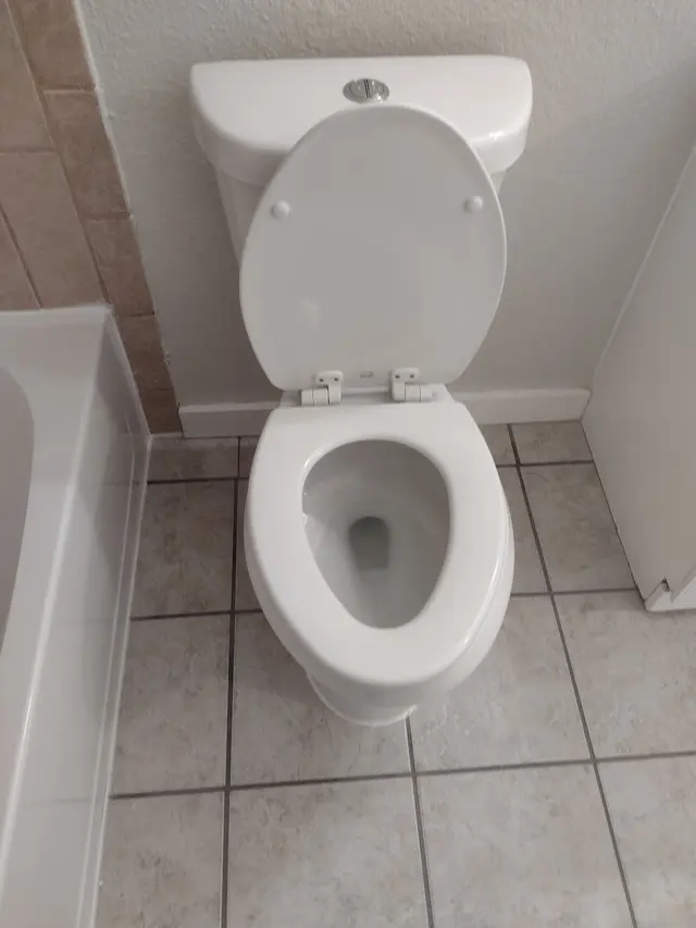 Customer photo from L's review