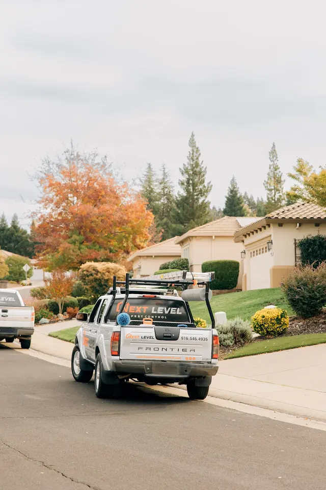Next Level Pest Control — photo from the business 12