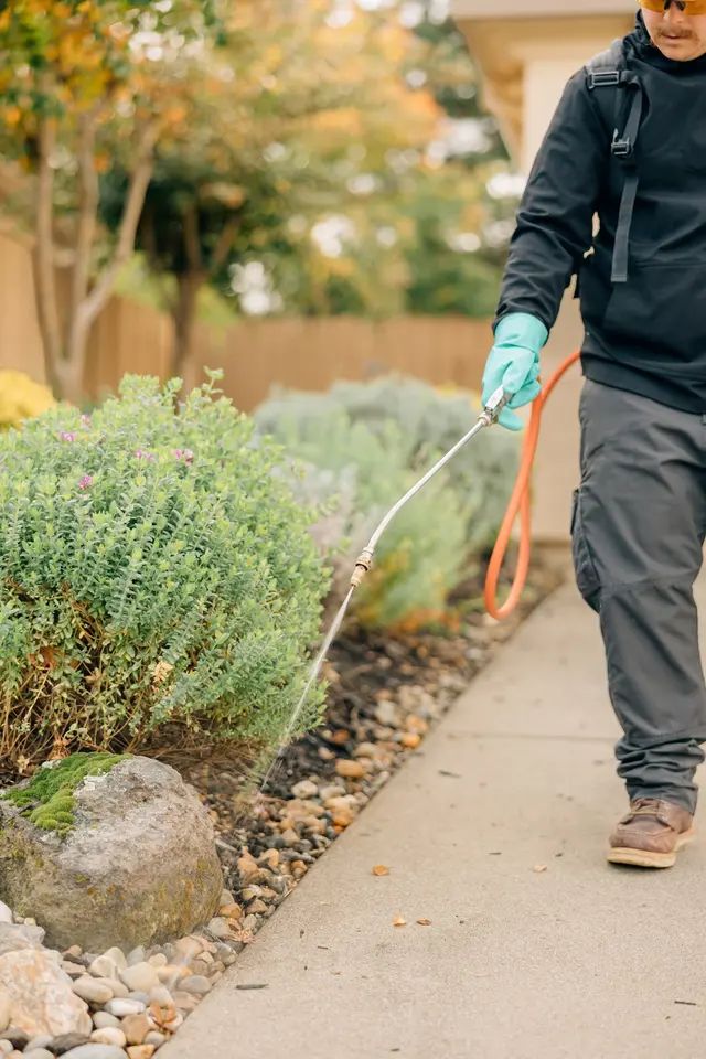 Next Level Pest Control — photo from the business 8