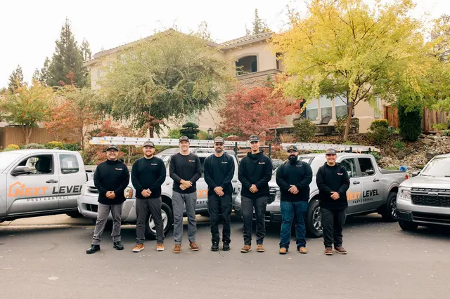 Next Level Pest Control — photo from the business 6