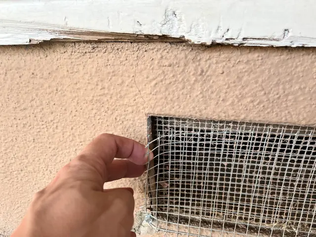Customer photo from Sander's review