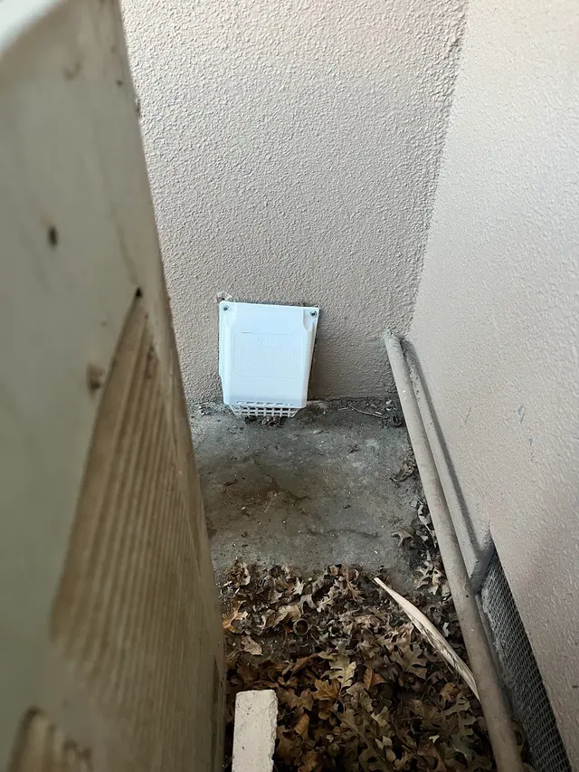 Customer photo from Sander's review