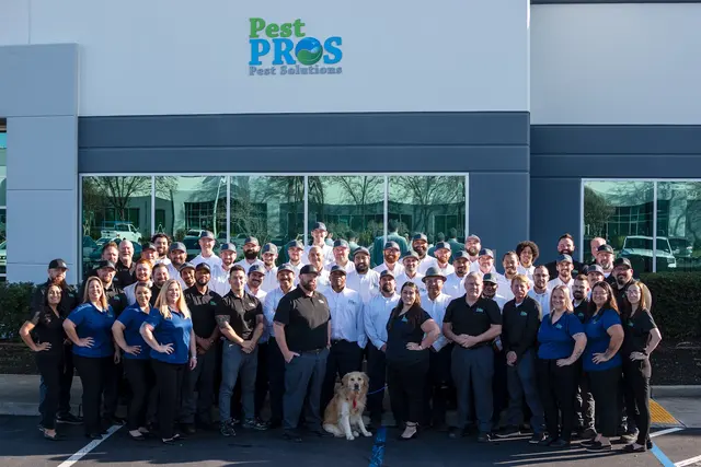 Pest Pros Pest Solutions — photo from the business 1