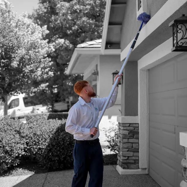 Pest Pros Pest Solutions — photo from the business 12