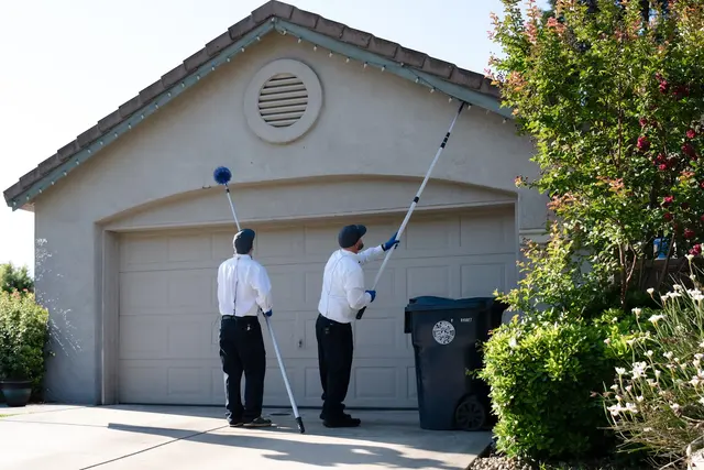 Pest Pros Pest Solutions — photo from the business 9