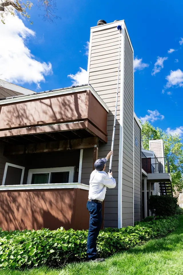 Pest Pros Pest Solutions — photo from the business 4