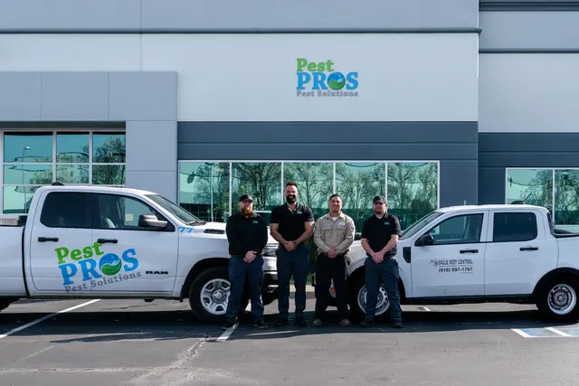 Pest Pros Pest Solutions — photo from the business 2