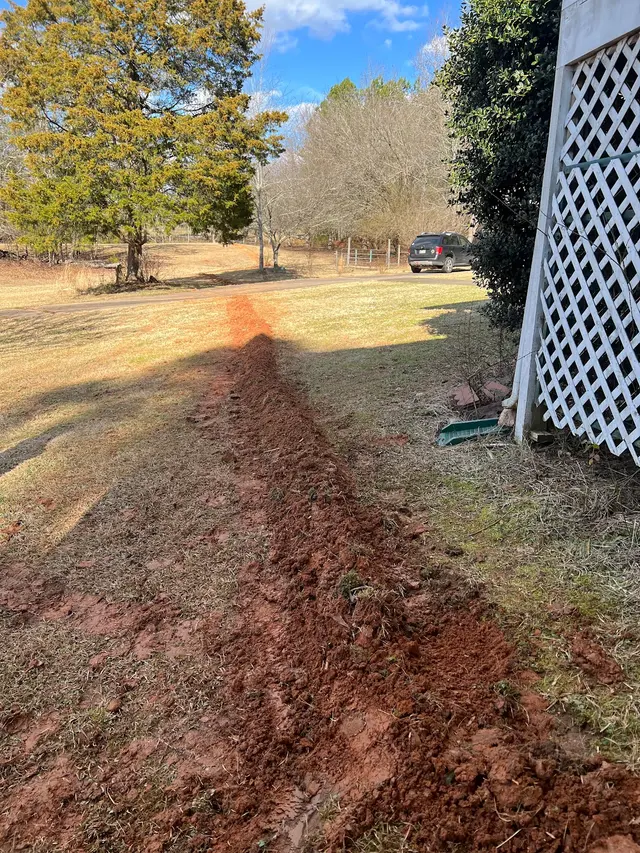 Customer photo from Andrew's review