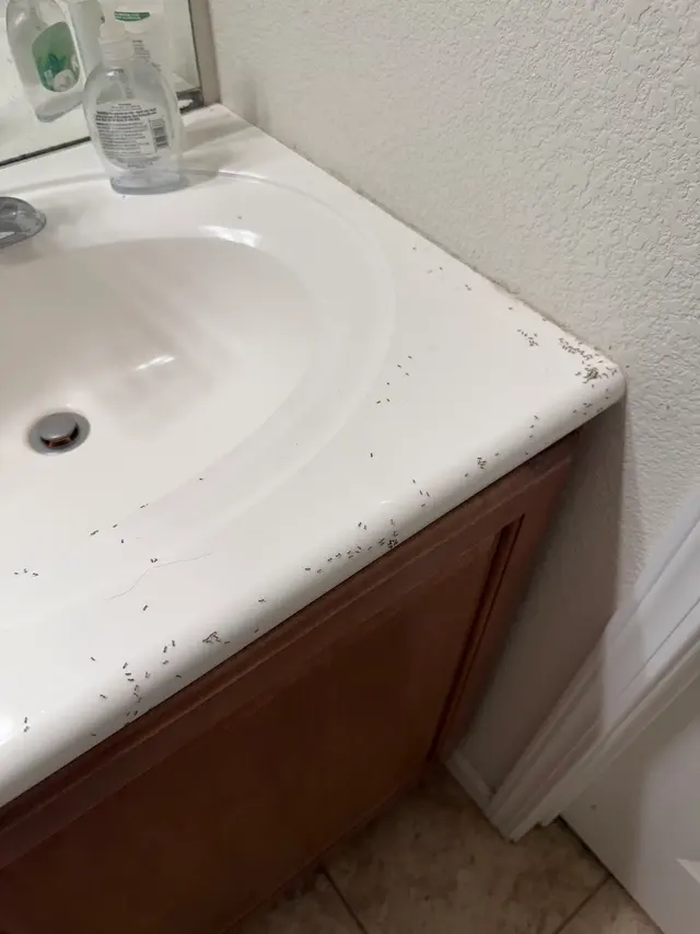Customer photo from Sunshine's review